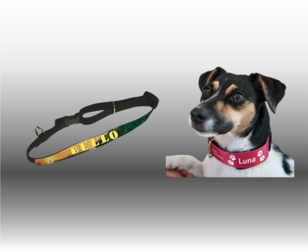 Hundehalsband – Bild 1