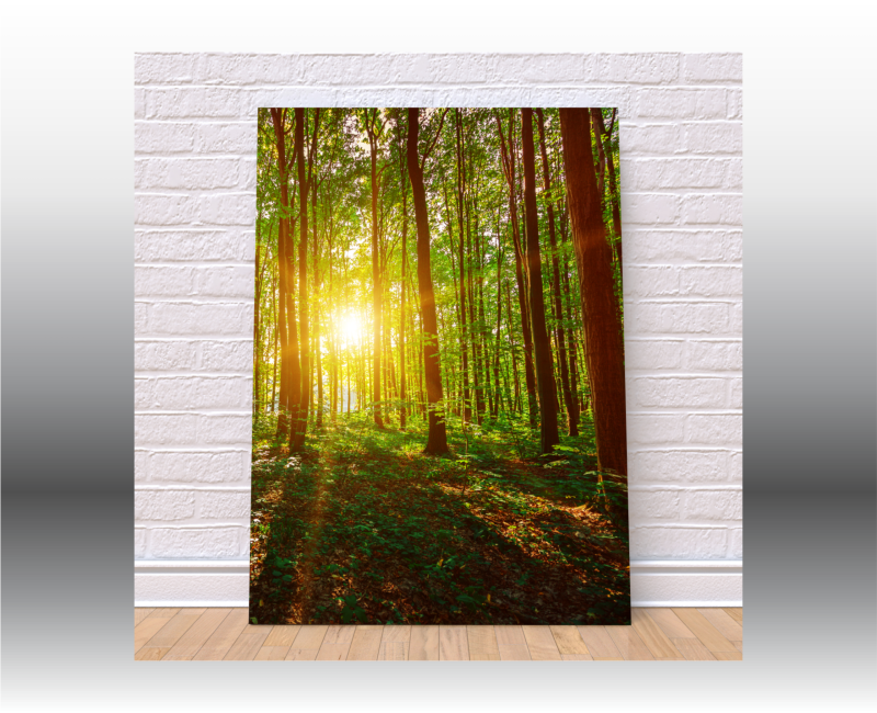 5Leinwand_Canvas
